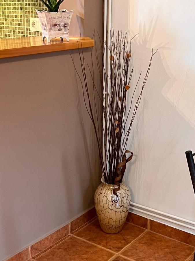 Avli Cottage Sami  Extérieur photo